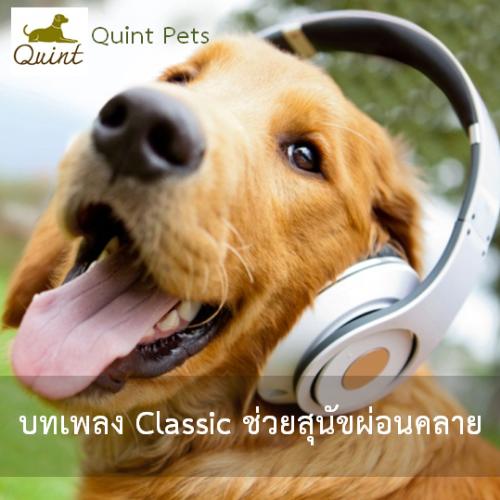  บทเพลง Classic ช่วยสุนัขผ่อนคลาย