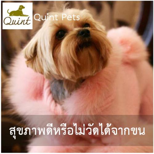 สุขภาพดีหรือไม่วัดได้จากขน