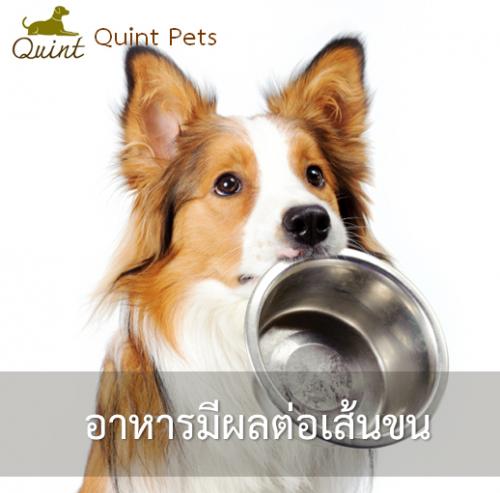 อาหารมีผลต่อเส้นขน