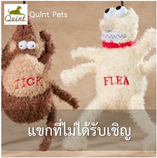 แขกที่ไม่ได้รับเชิญ
