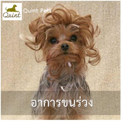 อาการขนร่วง
