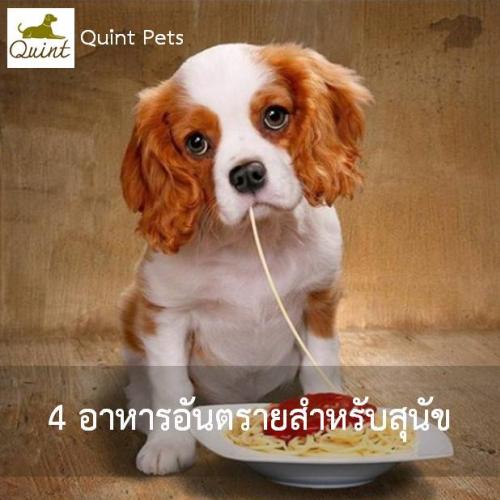 4 อาหารอันตรายสำหรับสุนัข