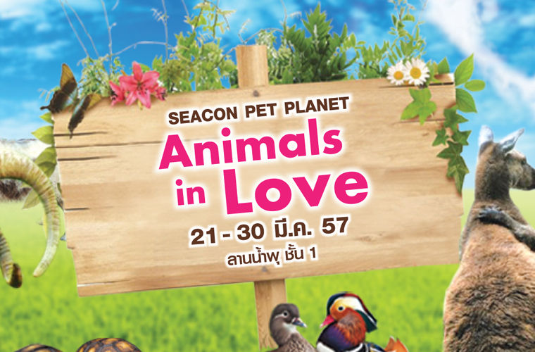 พบกับควินท์ได้ที่งาน &ldquo;Seacon Pet Planet&rdquo; : Animal in Love