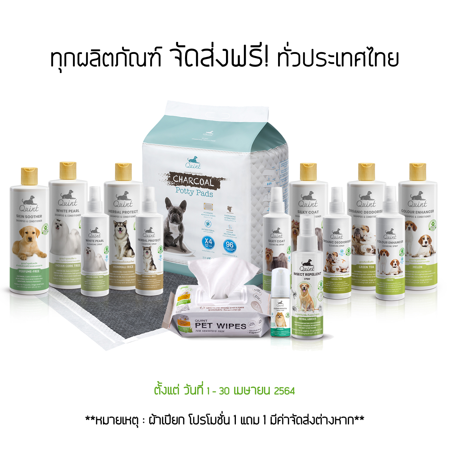 โปรโมชั่น สินค้า Quint เดือนเมษายน !!!