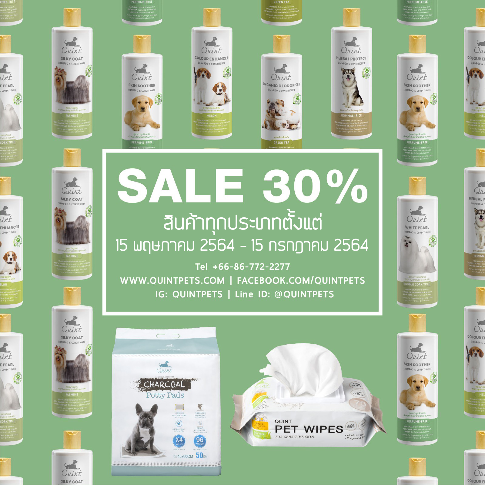 โปรโมชั่น สินค้า Quint !!!
