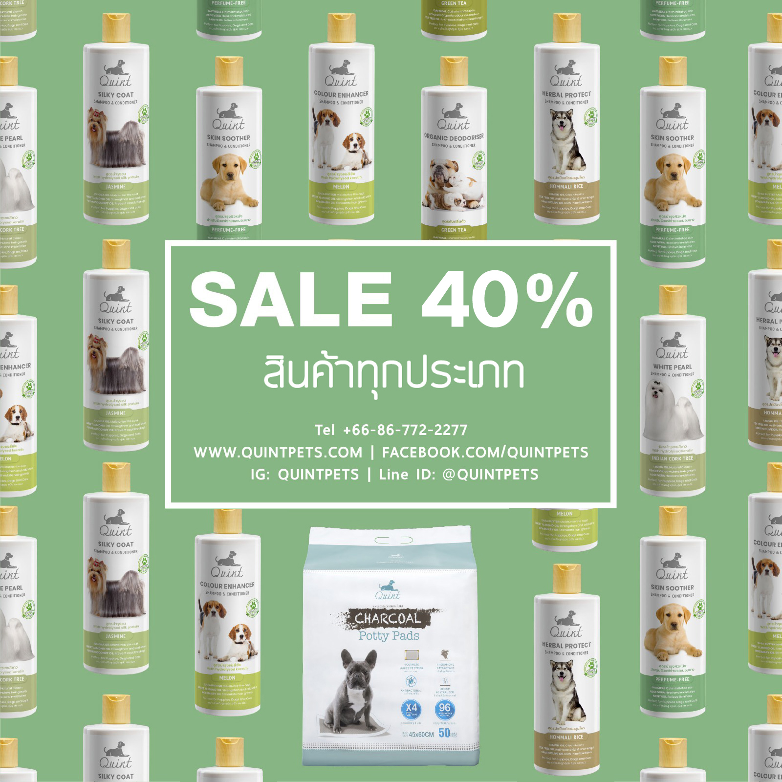 โปรโมชั่น ฤดูหนาว !