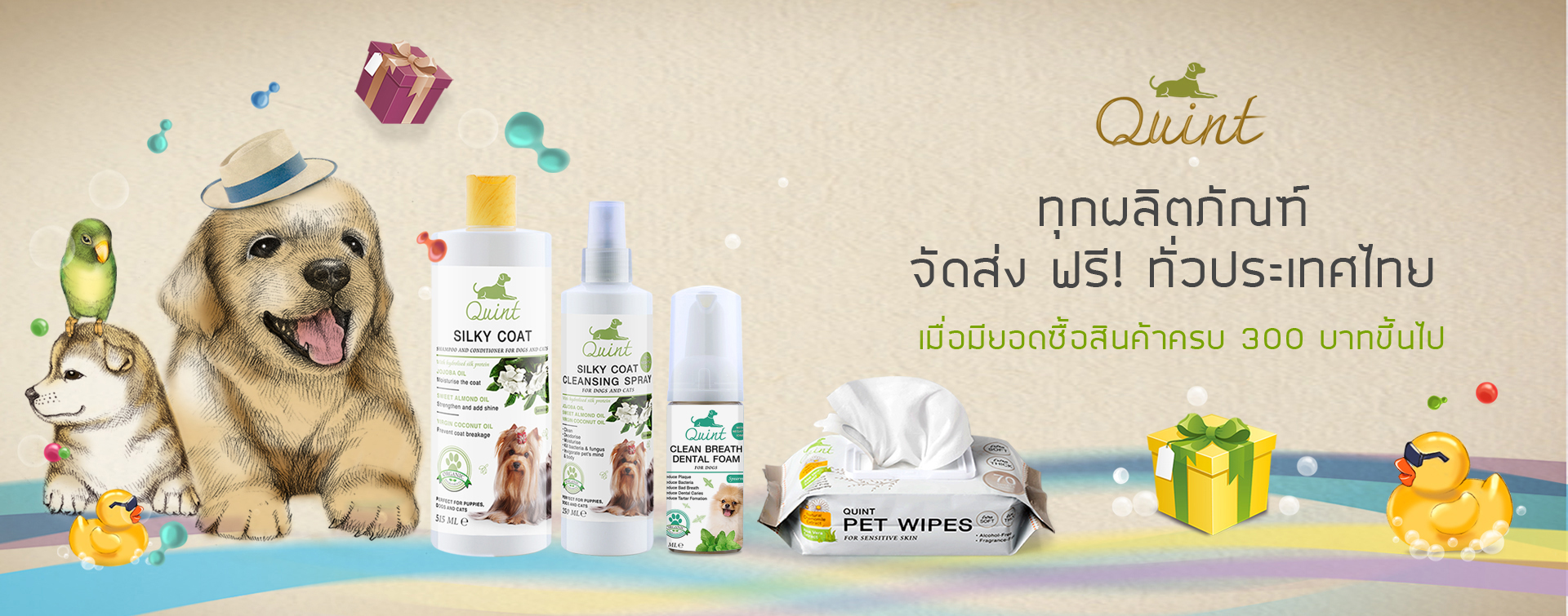 promotion-1