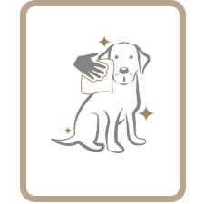 PET WIPES