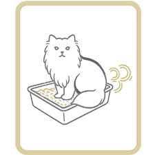CAT LITTER